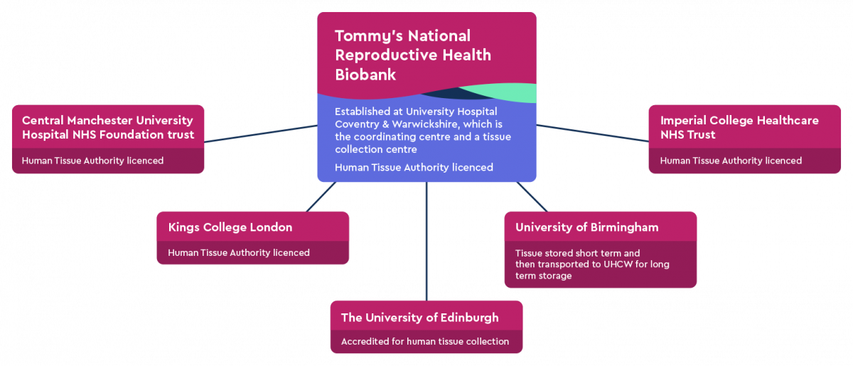 Tommy's National Biobank structure