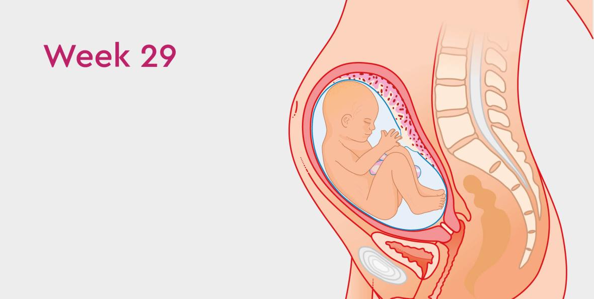 Pregnancy week 40, Pregnancy articles & support