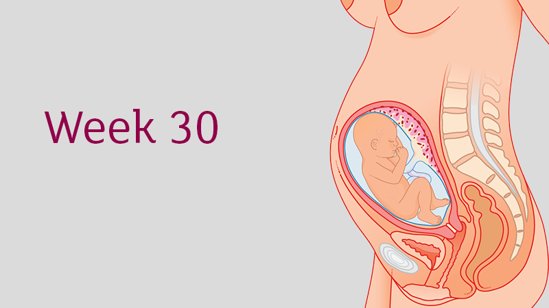 30 Weeks From Now Is What Date 2024 - www.alhudapk.com