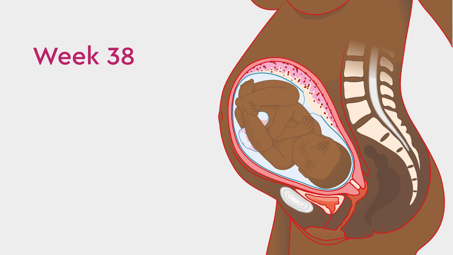 38 Weeks Pregnant: Leaking Nipples & Other Symptoms